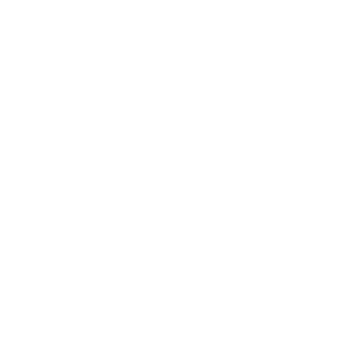 Strategic context and alignment with Egypt's Vision 2030